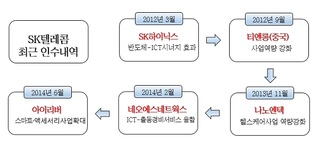 SKT는 사업다각화에 '매진', 그룹은 결과에 '물음표'