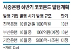 은행권, 하반기 코코본드 발행 '시동'