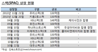 "암흑시대 돌아온다" 지정감사제 도입 전 스팩 '동분서주'