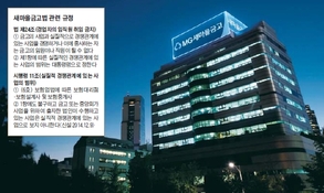 새마을금고, MG손보 직접 출자…보험사업 확장