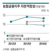 농협금융 자본확충, 농협중앙회만 믿고 있기엔…