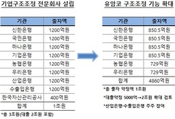 구조조정社 유암코에 교차하는 기대와 우려