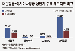 "대한항공, 호텔 투자 등 멈추고 지금 빚부터 갚아야"