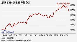 대한항공, 유증 카드로는 부족…强달러 부담 커진다