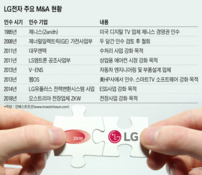 글로벌 전장사 ZKW 품은 LG…'제니스 트라우마' 극복할까