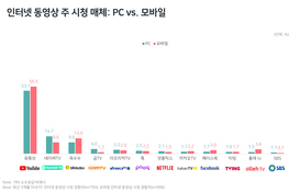 성장 둔화에 '동영상 강화' 내건 네이버, 산 넘어 산