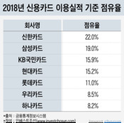 한앤컴퍼니는 왜 롯데카드 인수에 배팅했나