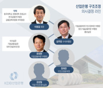 왜 항상 산업은행만 구조조정 총대를 메는가