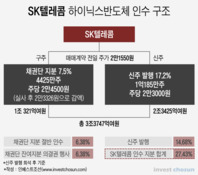 아시아나 매각, '하이닉스'와 닮은 꼴...신·구주 매각가 논란 '예고'