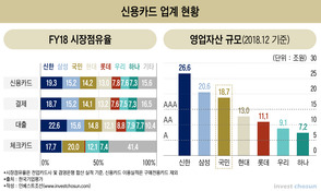 '자동차 할부' 집중 KB카드, 자체성장 언제까지 가능할까