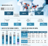 "40조원 투자"…결국 부담은 셀트리온헬스케어로