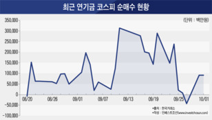 20년 만에 25일 연속 순매수한 연기금, 왜?...시장왜곡 우려도