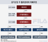 지주사 위에 또 지주사...휠라코리아, 석연찮은 기업 분할