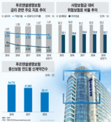 푸르덴셜, 건전성 '탁월'ㆍ경쟁력 '물음표'...인수 3년 후 파국 우려도