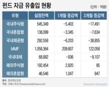 불안한 투심 속 출시 기대감 높아지는 달러 MMF