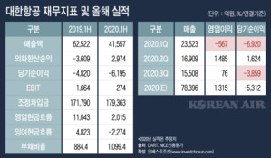 화물·자구안으로 버틴 대한항공…내년이 더 걱정인 재무전략