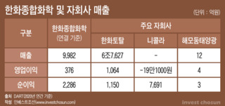 상장 한 달 앞 한화종합화학, '지주회사'식 가치 산정 유력