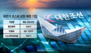 대어(大魚) 투심 바로미터 대한조선 공모 흥행에도...'빅딜' 자취 감춘 IPO 시장