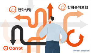상반기 '그나마 나았던' 한화손보, 하반기 '캐롯 인수' 무게 감당 가능할까