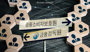 '누가 금소원 갈까' 전·현직 금소처 출신부터 '소비자학' 전공까지 금감원 혼란 고조