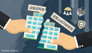 '영업관행 검사가 메인인데'…금감원, 금소원 신설 시 보험사 통제력 약화 불가피