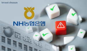 농협은행, 금감원 자금세탁방지(AML) 검사 받았다&hellip;'행장 직격' 구조 리스크 부상