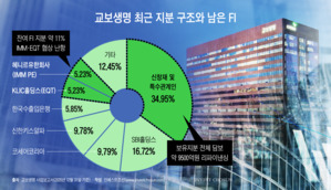 "시간 번 대신 부담 쌓였다"&hellip;PIK 구조에 교보생명 IPO 압박 가중