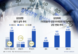 밸류업 시험대 오른 삼성 '보험 형제'…양호한 성적표에도 속내는 '복잡'