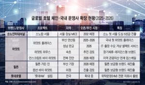 "5성급만으론 부족"…힐튼·하얏트·롯데, 보급형 브랜드 확대로 시장 공략
