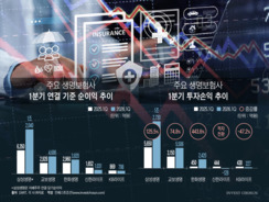 '투자손익'에 요동친 생보사…불안한 '대형사'·사면초가 '은행계'