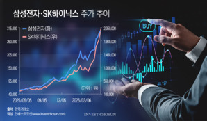 "코스닥사 대표도, 패밀리오피스 오너도"..본업 대신에 삼전닉스 투자