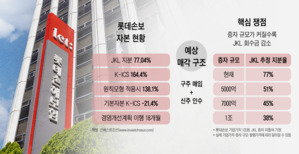 롯데손해보험 매각, 당국 지적에 구주+신주 방식 진행 가닥