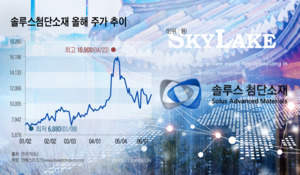 스카이레이크의 솔루스 해외자회사 인수, 궁여지책서 '신의 한 수'로