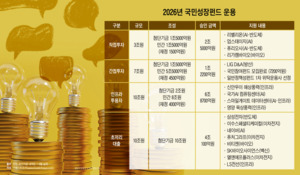 국민성장펀드, 고밸류 겹치기 투자 계속?…벌써부터 쌓이는 불만과 우려