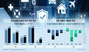삼성생명·현대해상 '호실적 전망'에도…증시·제도 덫에 걸린 펀더멘털